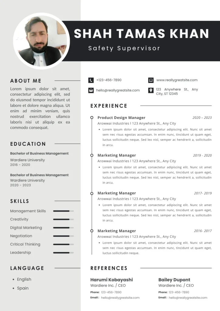 Professional Modern CV Resume